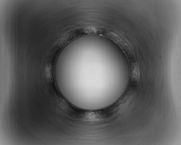 X0000100320616200806051518