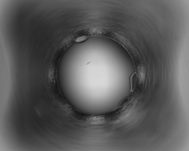 X0000100320619200806051518