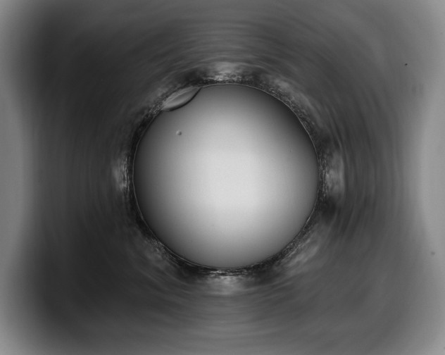 X0000100320620200806051518