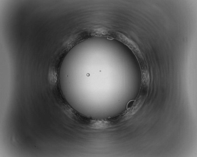 X0000100320621200806051518