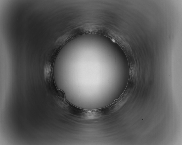 X0000100320623200806051518