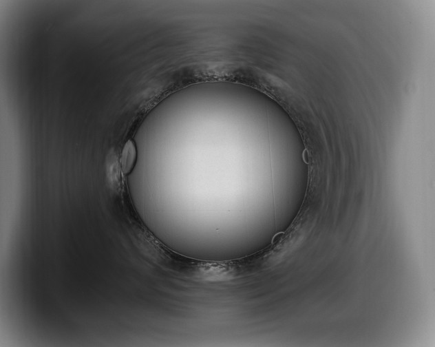 X0000100320624200806051518