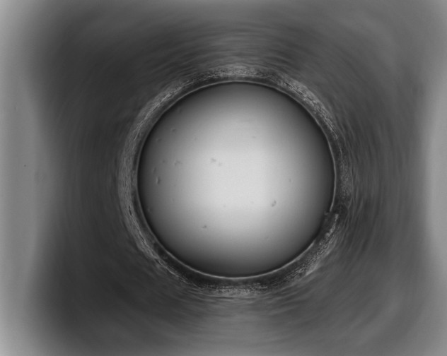 X0000100320625200806051517