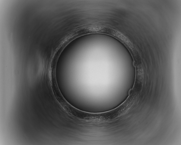 X0000100320626200806051518