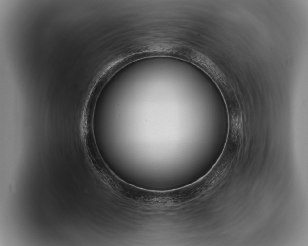 X0000100320628200806051518