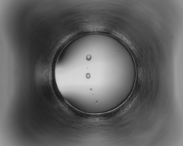 X0000100320629200806051518