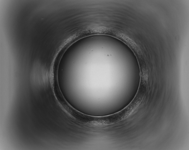 X0000100320630200806051518