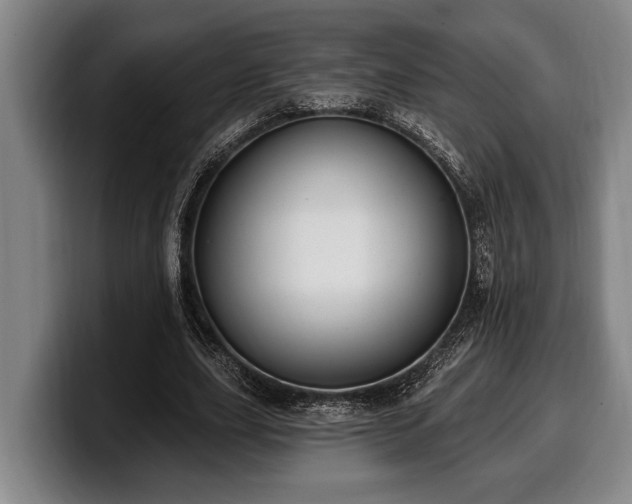 X0000100320631200806051518