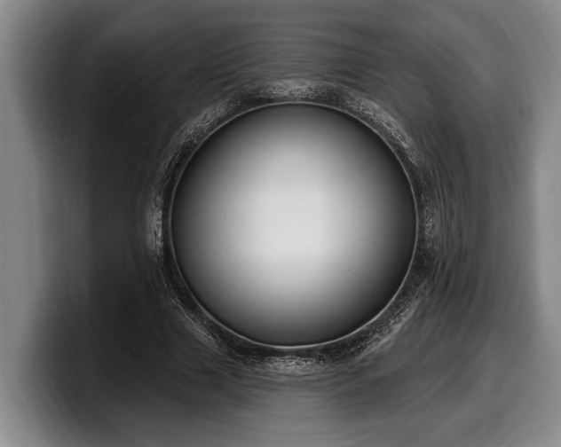 X0000100320633200806051518