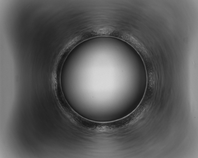 X0000100320634200806051518