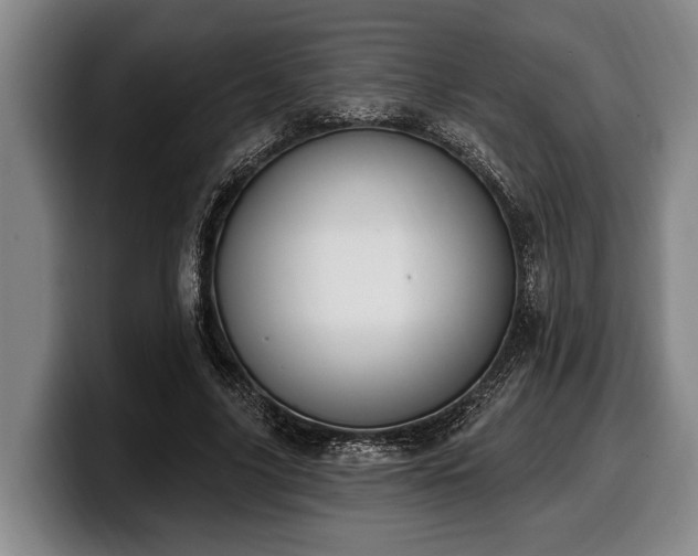 X0000100320635200806051518