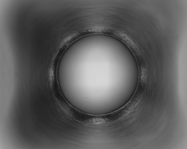 X0000100320636200806051518