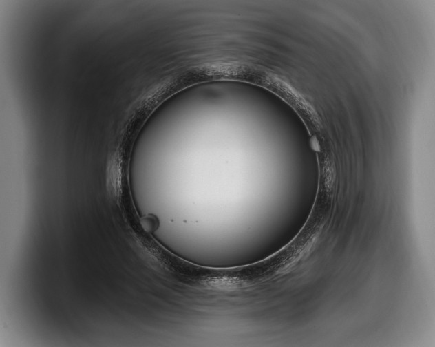 X0000100320637200806051518