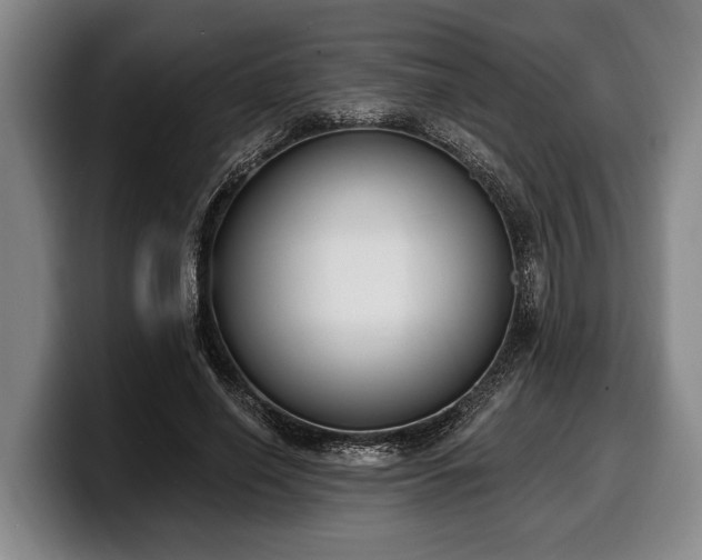 X0000100320638200806051518