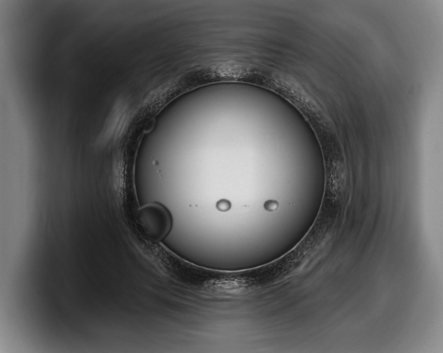 X0000100320639200806051518