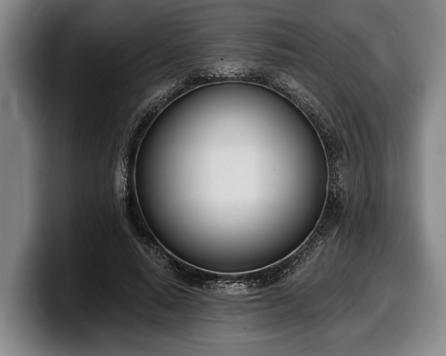 X0000100320640200806051518