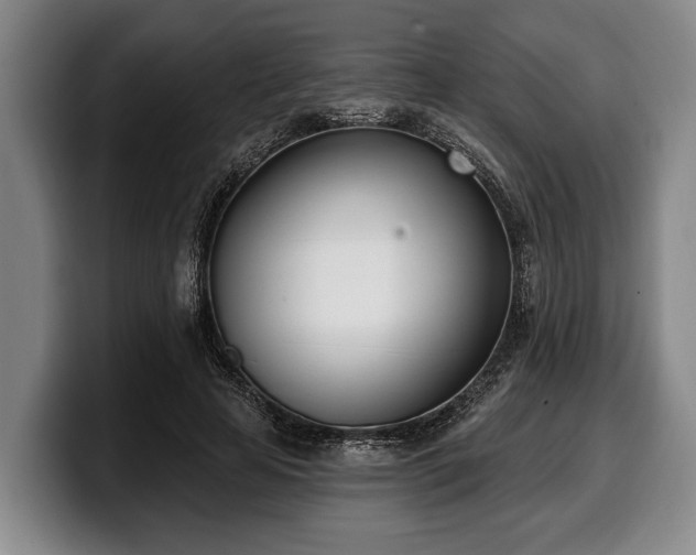 X0000100320641200806051518