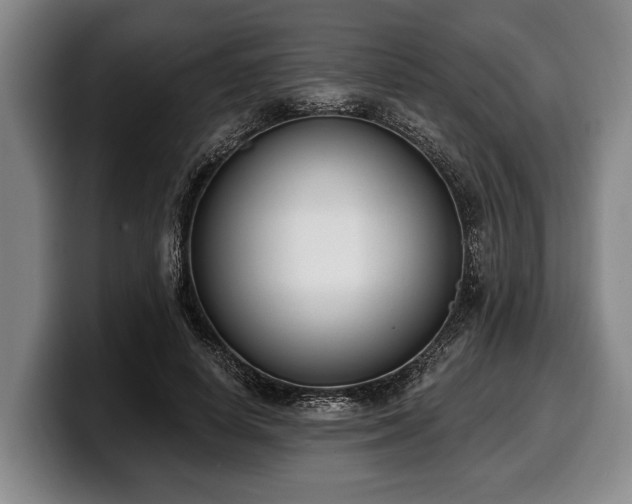 X0000100320642200806051518