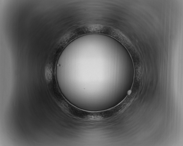 X0000100320644200806051518