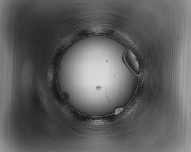 X0000100320645200806051518