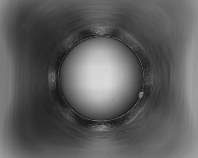 X0000100320646200806051518