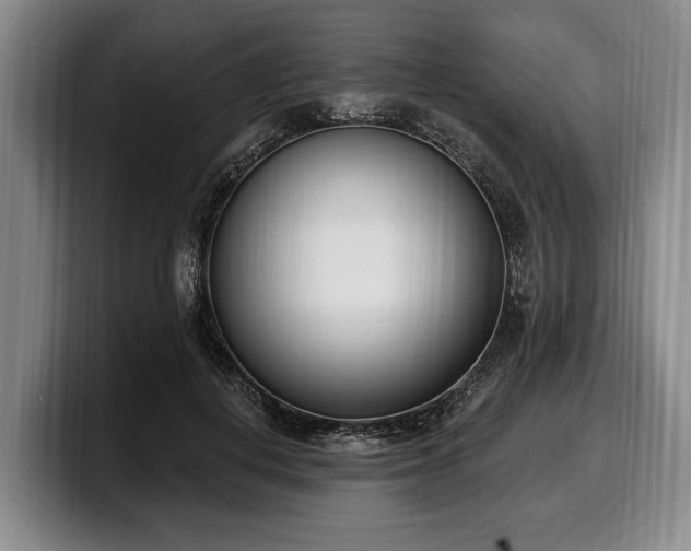 X0000100320648200806051518