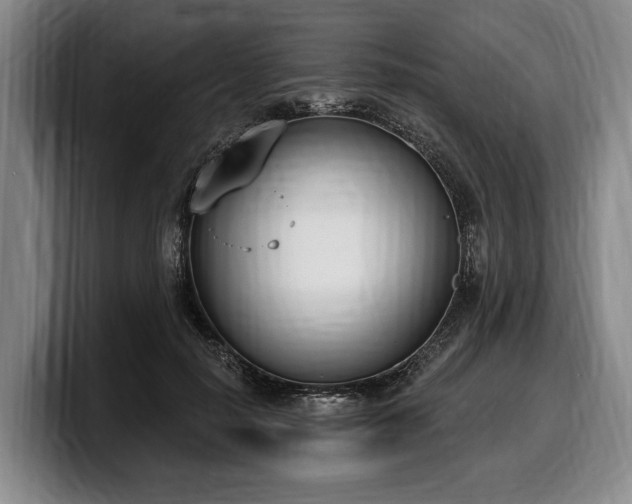 X0000100320650200806051518