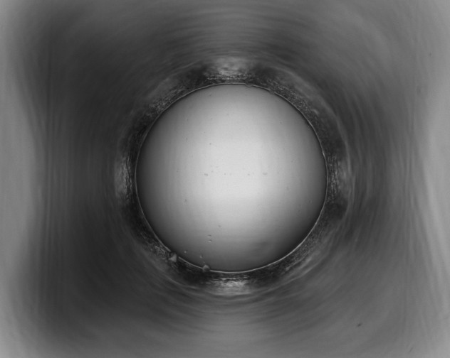 X0000100320651200806051518