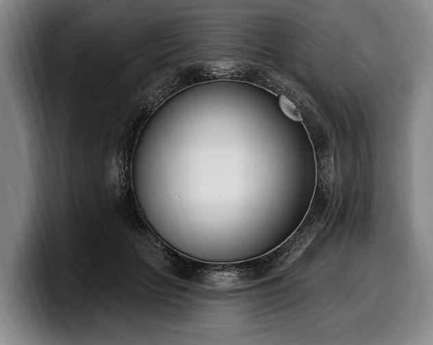 X0000100320653200806051518