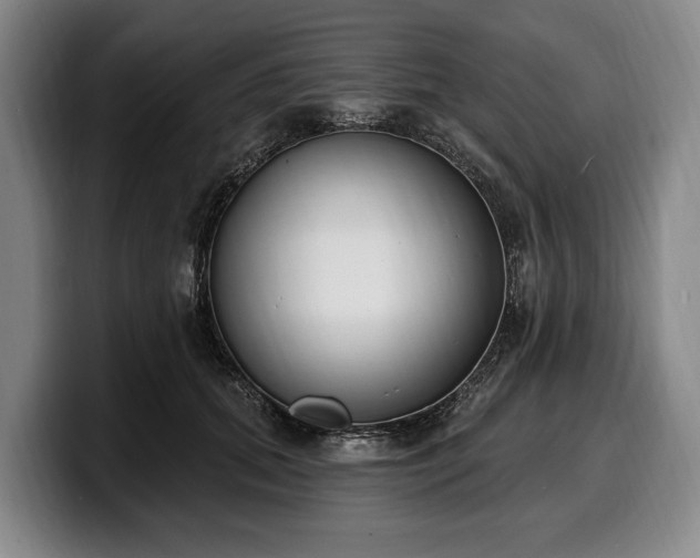 X0000100320655200806051518