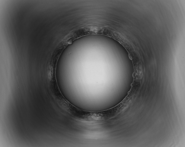 X0000100320656200806051518