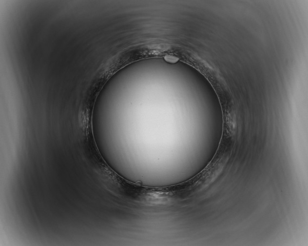 X0000100320657200806051518