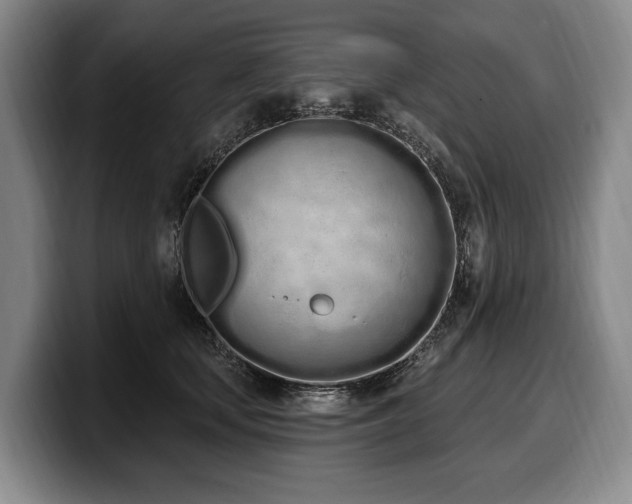 X0000100320659200806051518