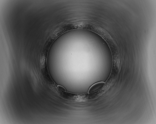 X0000100320660200806051518