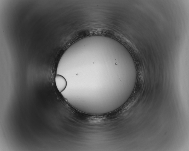 X0000100320661200806051518