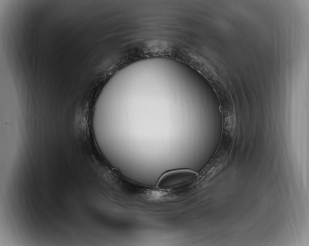 X0000100320662200806051518