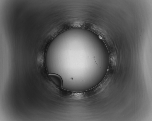 X0000100320665200806051518