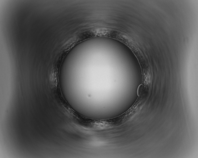 X0000100320666200806051518