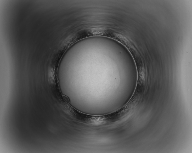 X0000100320667200806051518