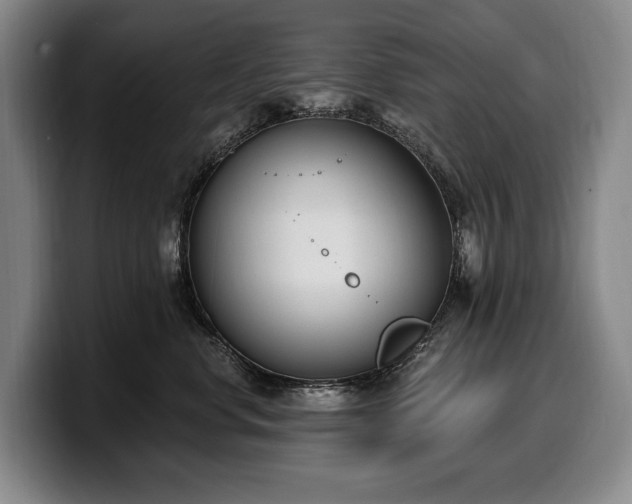 X0000100320668200806051518