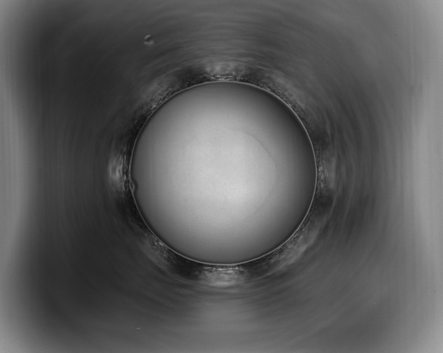 X0000100320671200806051518