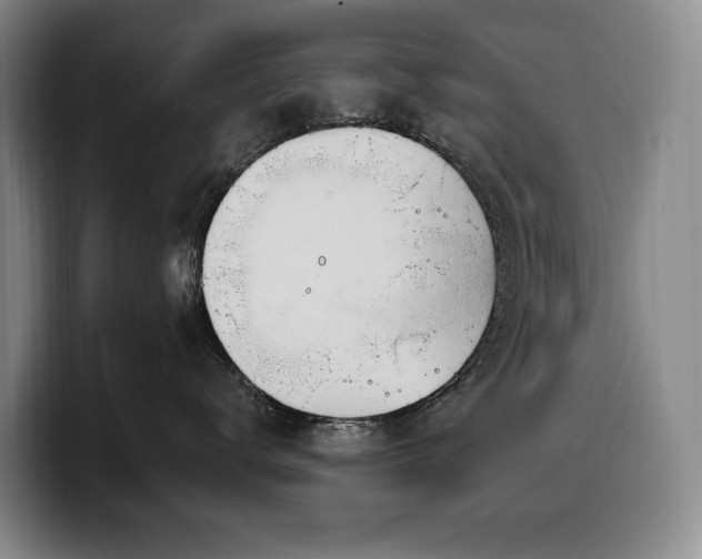 X0000100320672200806051518