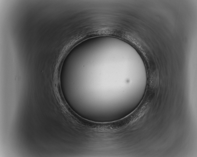 X0000100320673200806051517