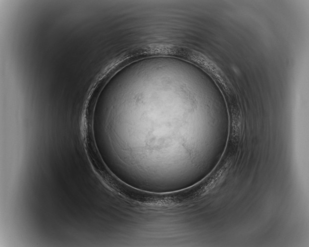 X0000100320674200806051517