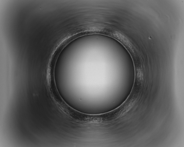 X0000100320676200806051517