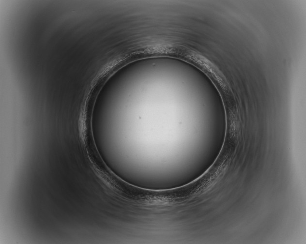 X0000100320677200806051517