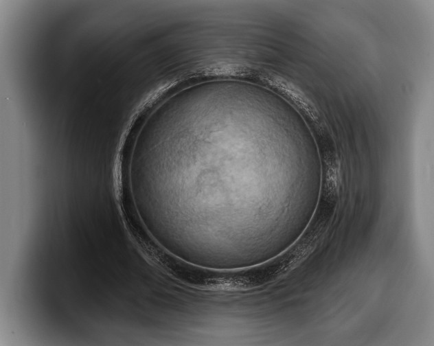 X0000100320678200806051517