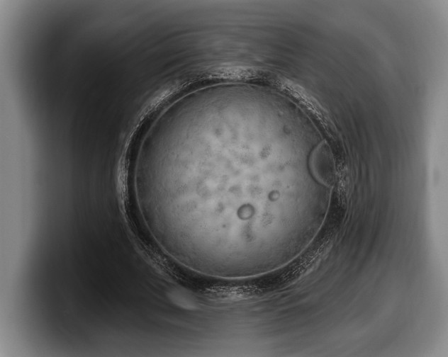 X0000100320679200806051517