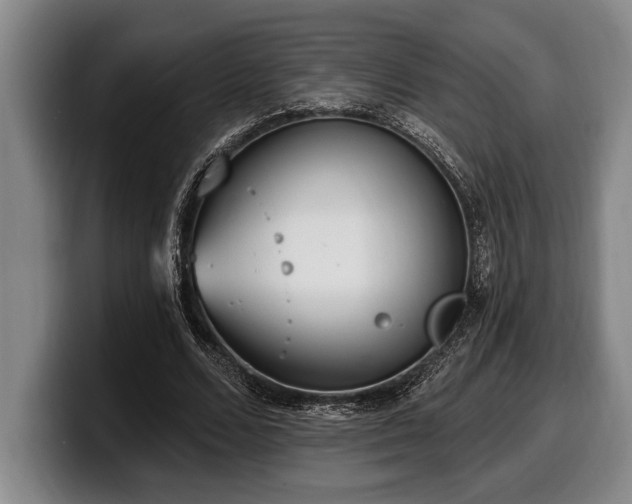 X0000100320680200806051517