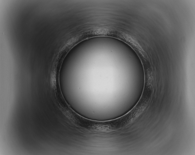 X0000100320681200806051517